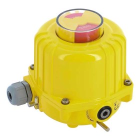 actionare-electrica-quarter-turn