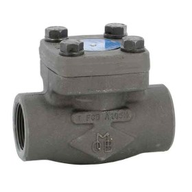 Clapeta de sens din otel carbon cu bila 800lbs conexiune NPT